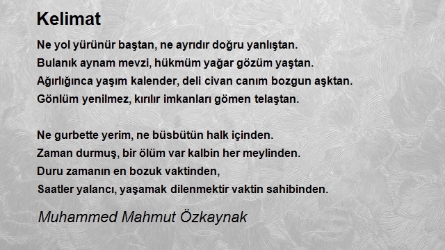 Muhammed Mahmut Özkaynak