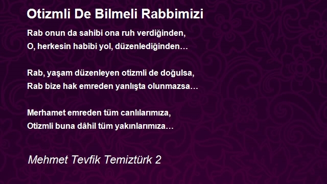 Mehmet Tevfik Temiztürk 2