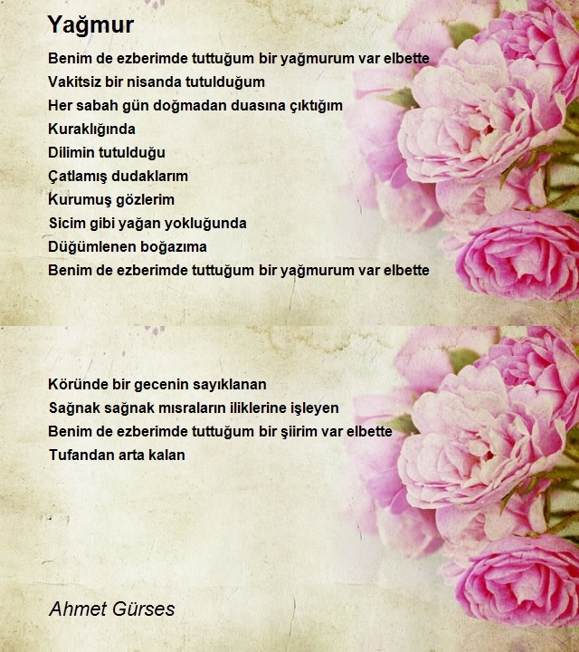 Ahmet Gürses