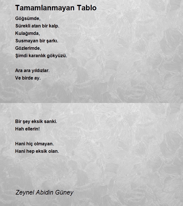 Zeynel Abidin Güney