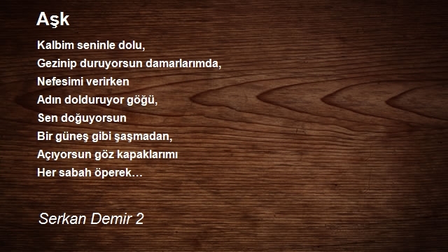 Serkan Demir 2