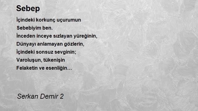 Serkan Demir 2