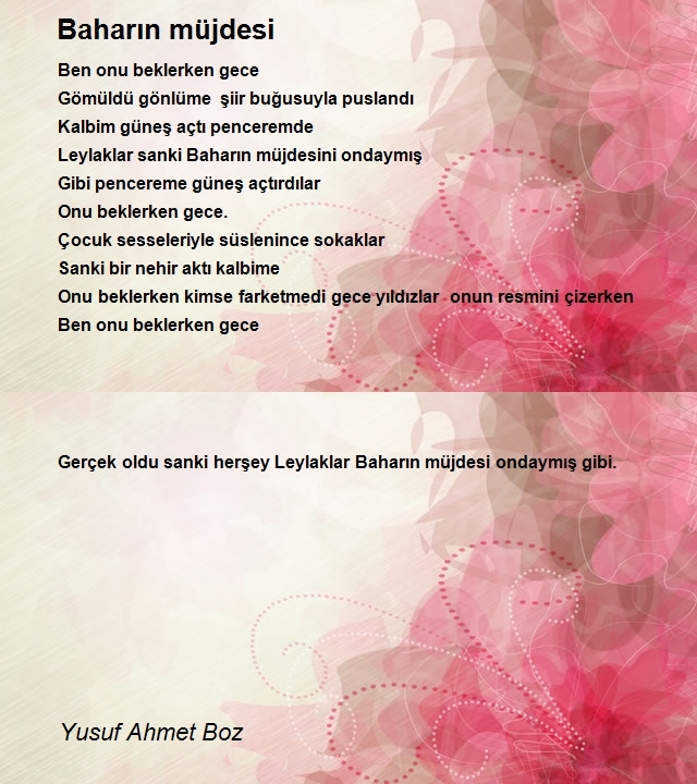 Yusuf Ahmet Boz