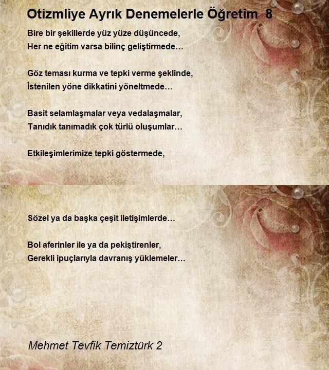 Mehmet Tevfik Temiztürk 2