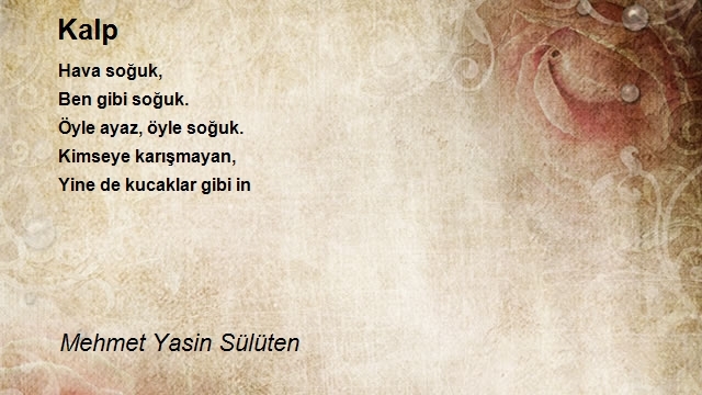 Mehmet Yasin Sülüten