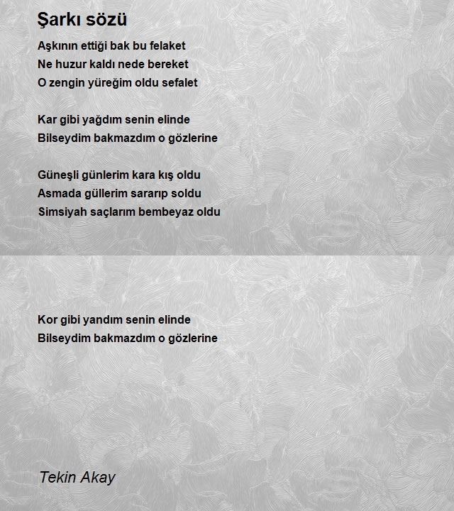 Tekin Akay