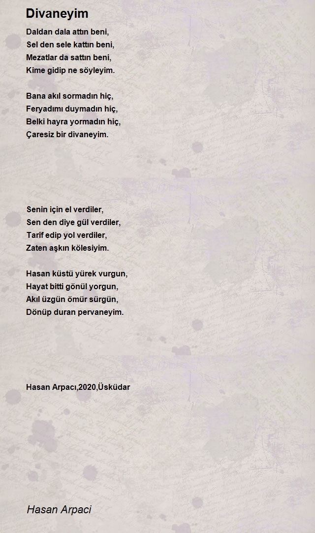 Hasan Arpaci