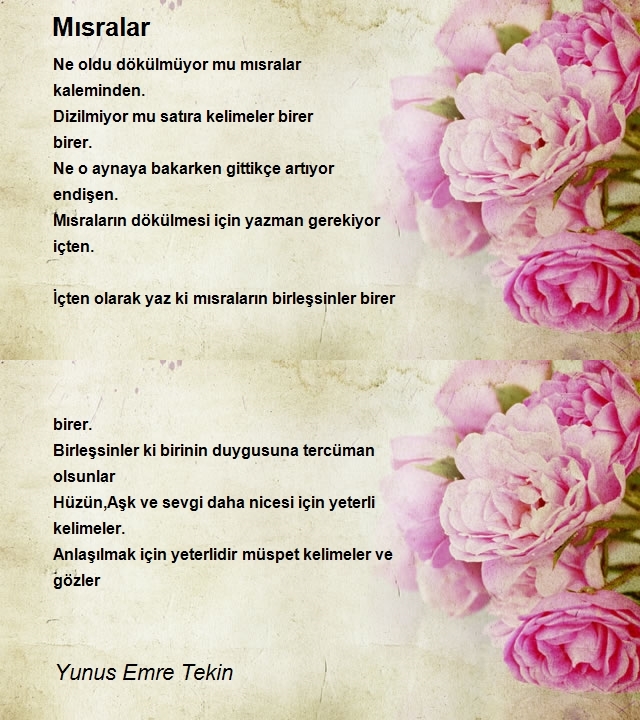 Yunus Emre Tekin