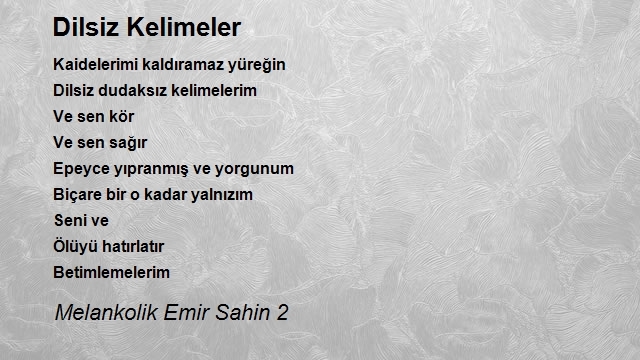 Melankolik Emir Sahin 2