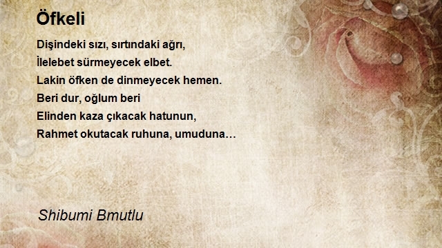 Shibumi Bmutlu