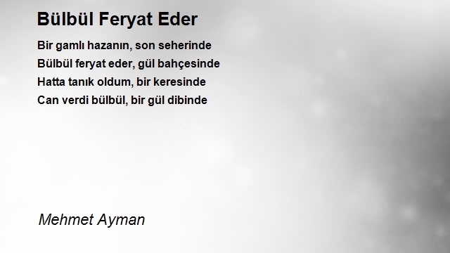 Mehmet Ayman