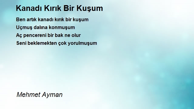 Mehmet Ayman