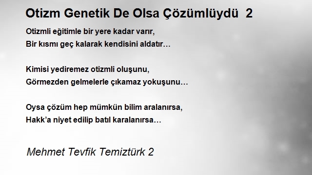 Mehmet Tevfik Temiztürk 2