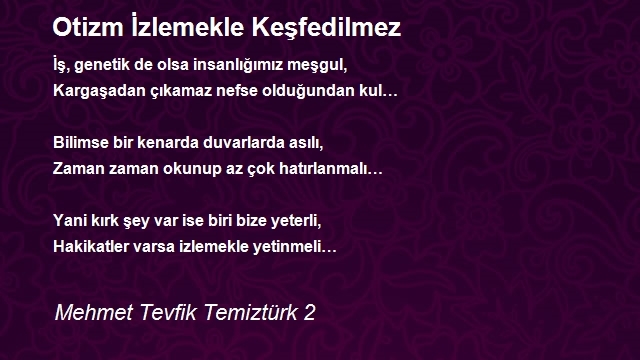 Mehmet Tevfik Temiztürk 2