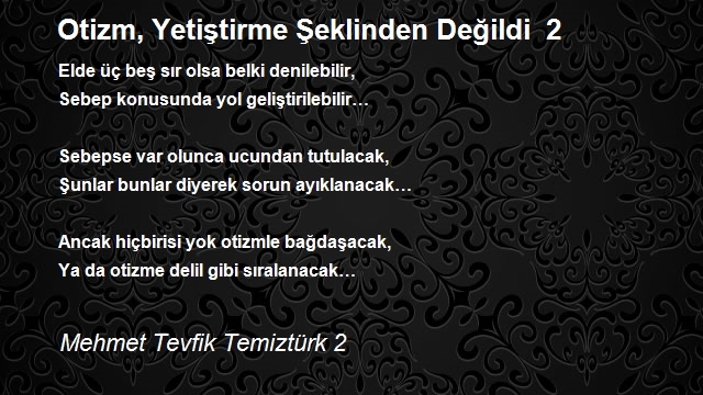 Mehmet Tevfik Temiztürk 2