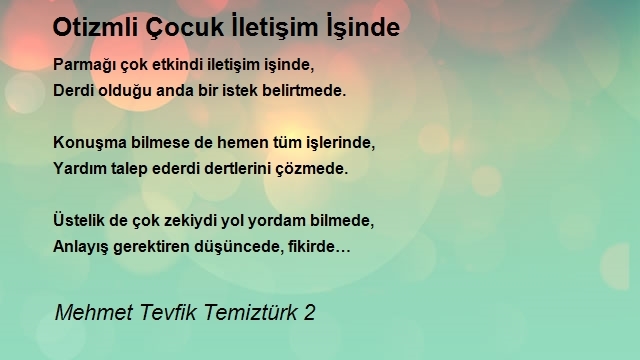 Mehmet Tevfik Temiztürk 2