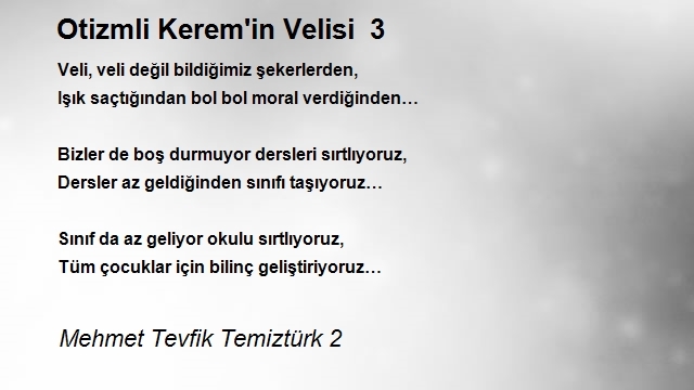 Mehmet Tevfik Temiztürk 2