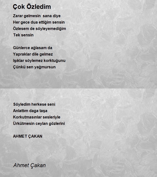 Ahmet Çakan