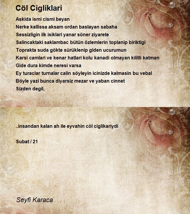 Seyfi Karaca