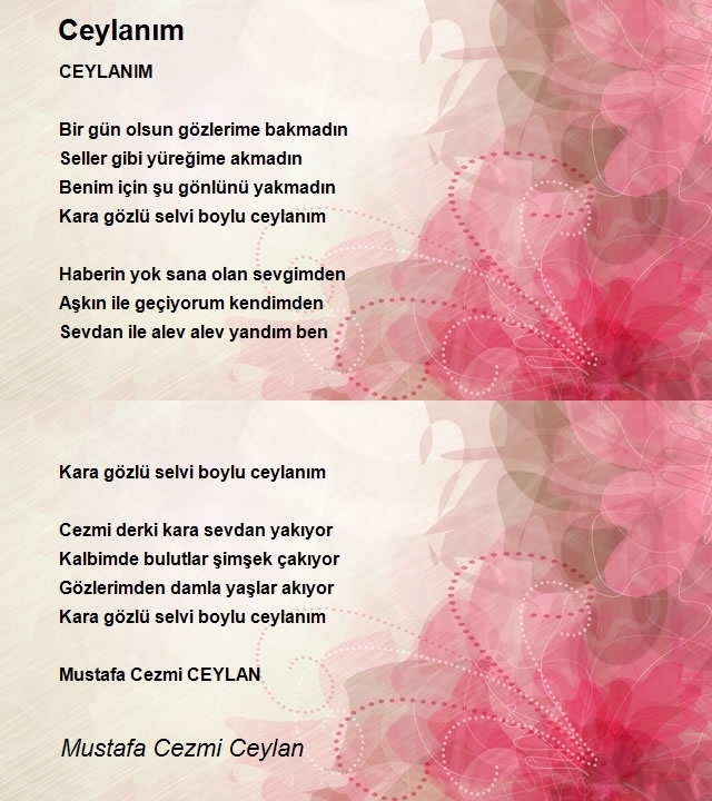 Mustafa Cezmi Ceylan