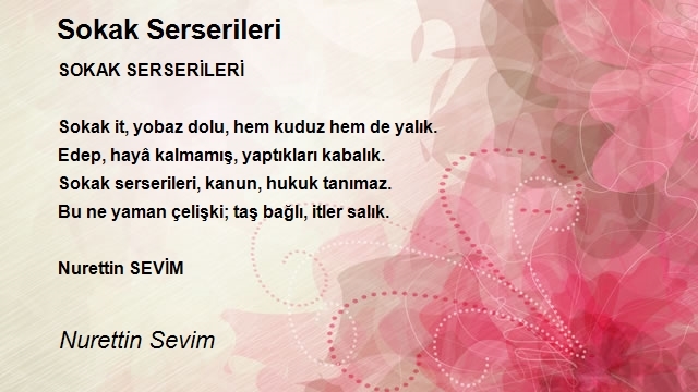 Nurettin Sevim