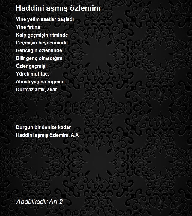 Abdülkadir Arı 2