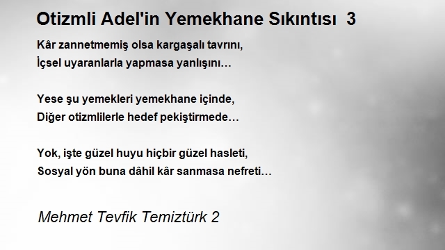 Mehmet Tevfik Temiztürk 2