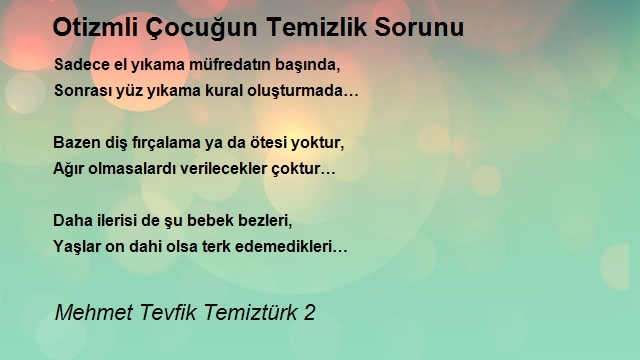 Mehmet Tevfik Temiztürk 2