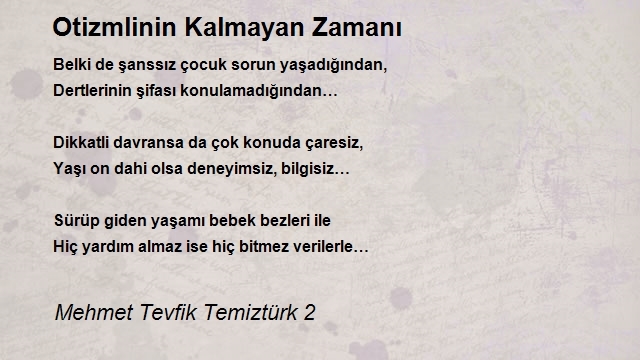 Mehmet Tevfik Temiztürk 2