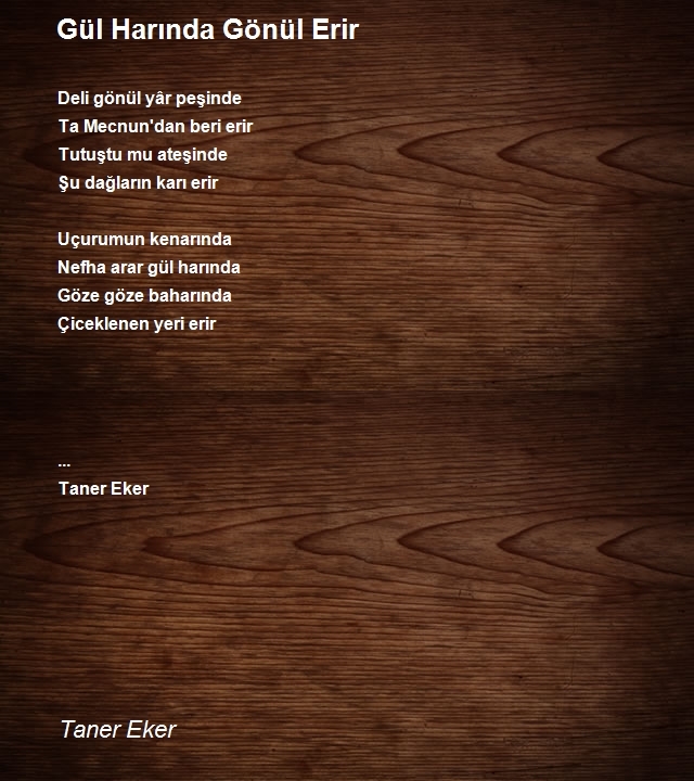 Taner Eker