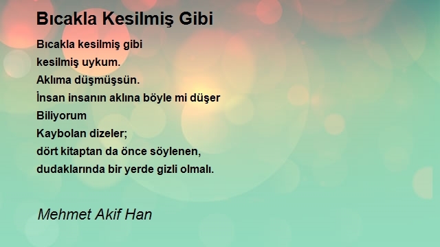 Mehmet Akif Han