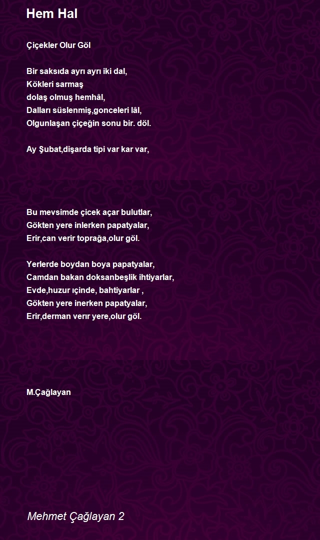 Mehmet Çağlayan 2