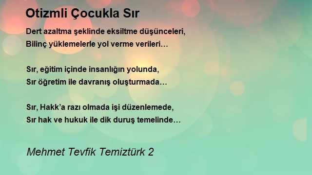 Mehmet Tevfik Temiztürk 2