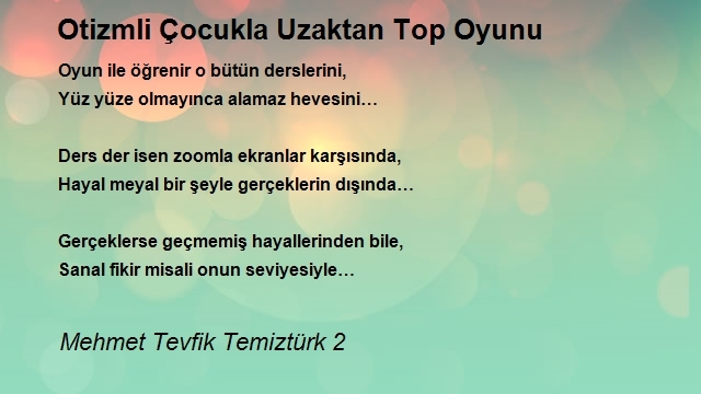 Mehmet Tevfik Temiztürk 2