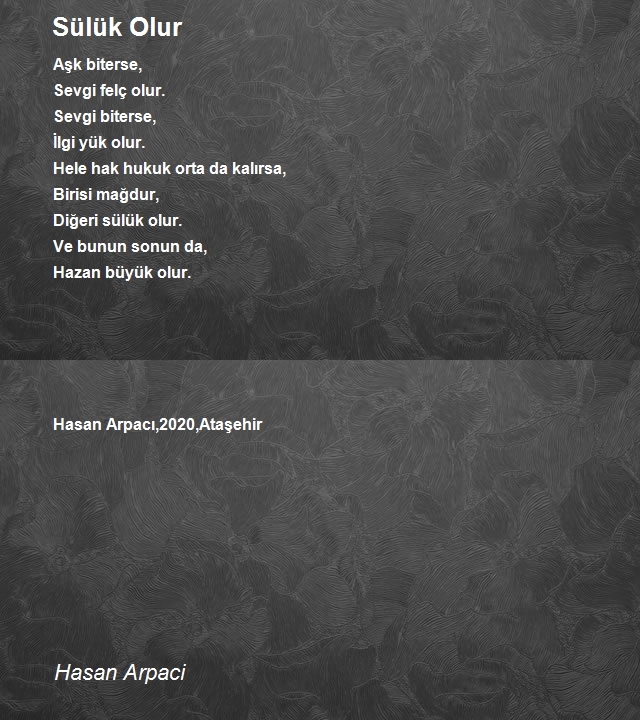 Hasan Arpaci