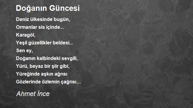 Ahmet İnce