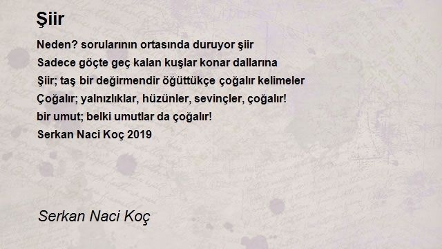 Serkan Naci Koç