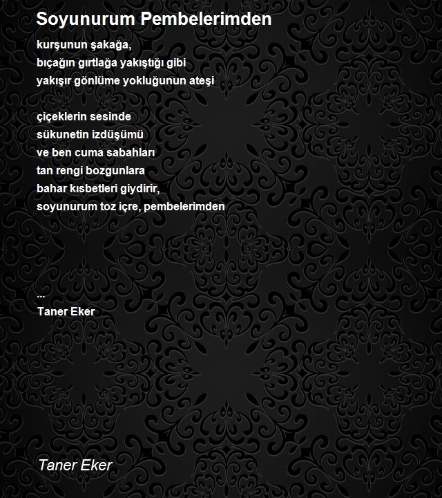 Taner Eker