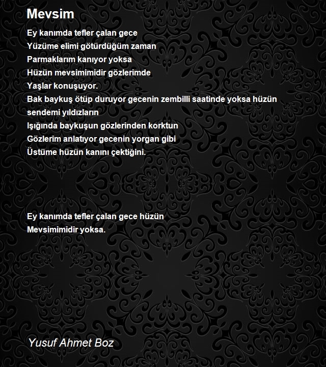 Yusuf Ahmet Boz