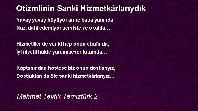 Mehmet Tevfik Temiztürk 2