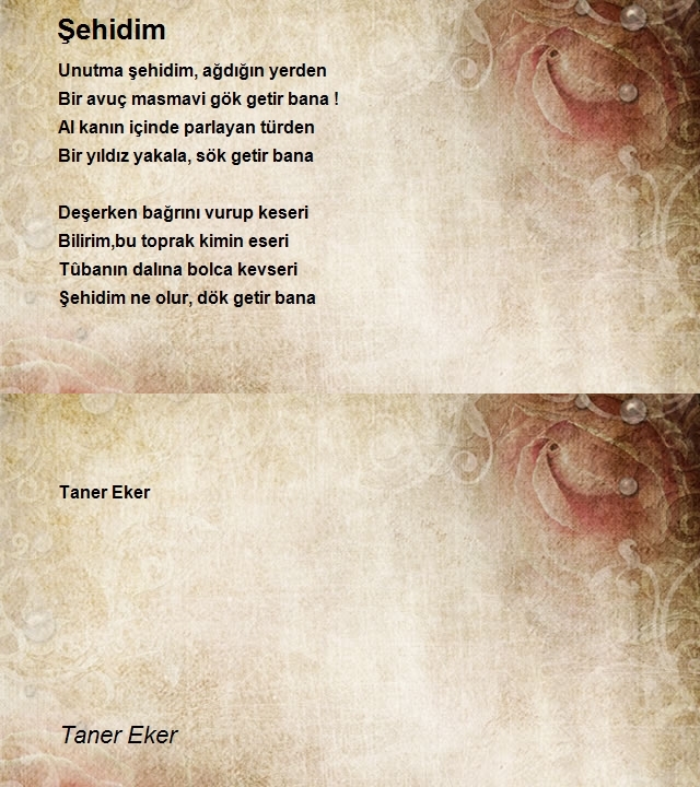 Taner Eker