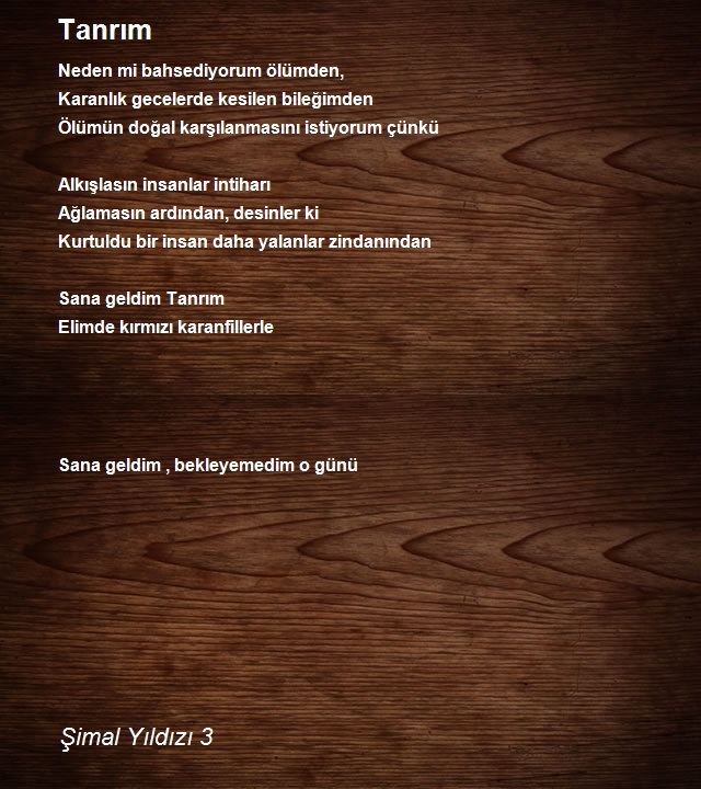 Şimal Yıldızı 3