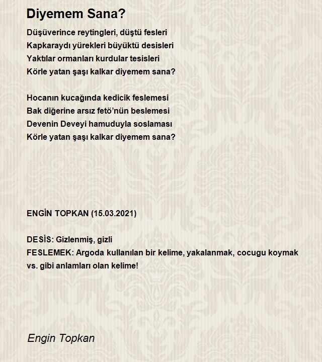 Engin Topkan