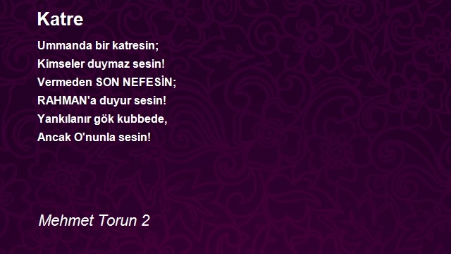 Mehmet Torun 2