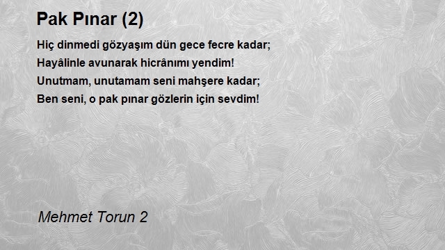 Mehmet Torun 2