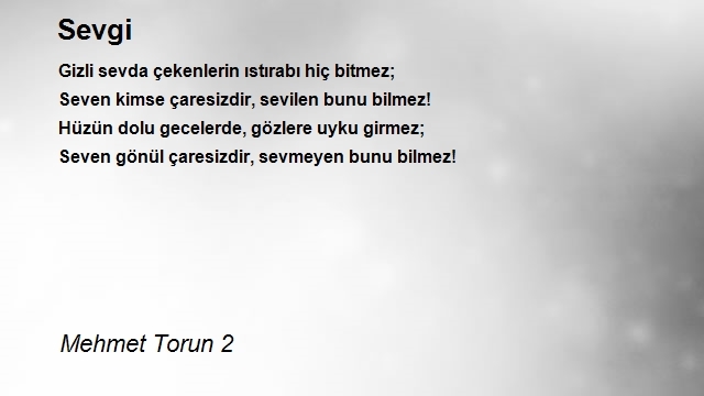 Mehmet Torun 2