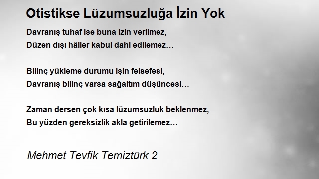 Mehmet Tevfik Temiztürk 2