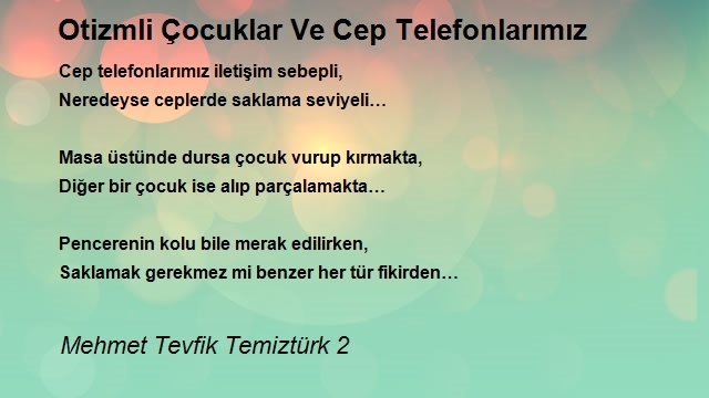 Mehmet Tevfik Temiztürk 2