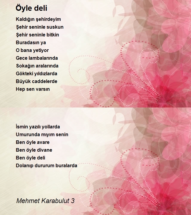 Mehmet Karabulut 3