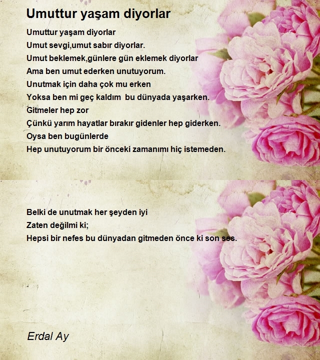 Erdal Ay